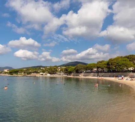 Les Nefliers Sainte-Maxime